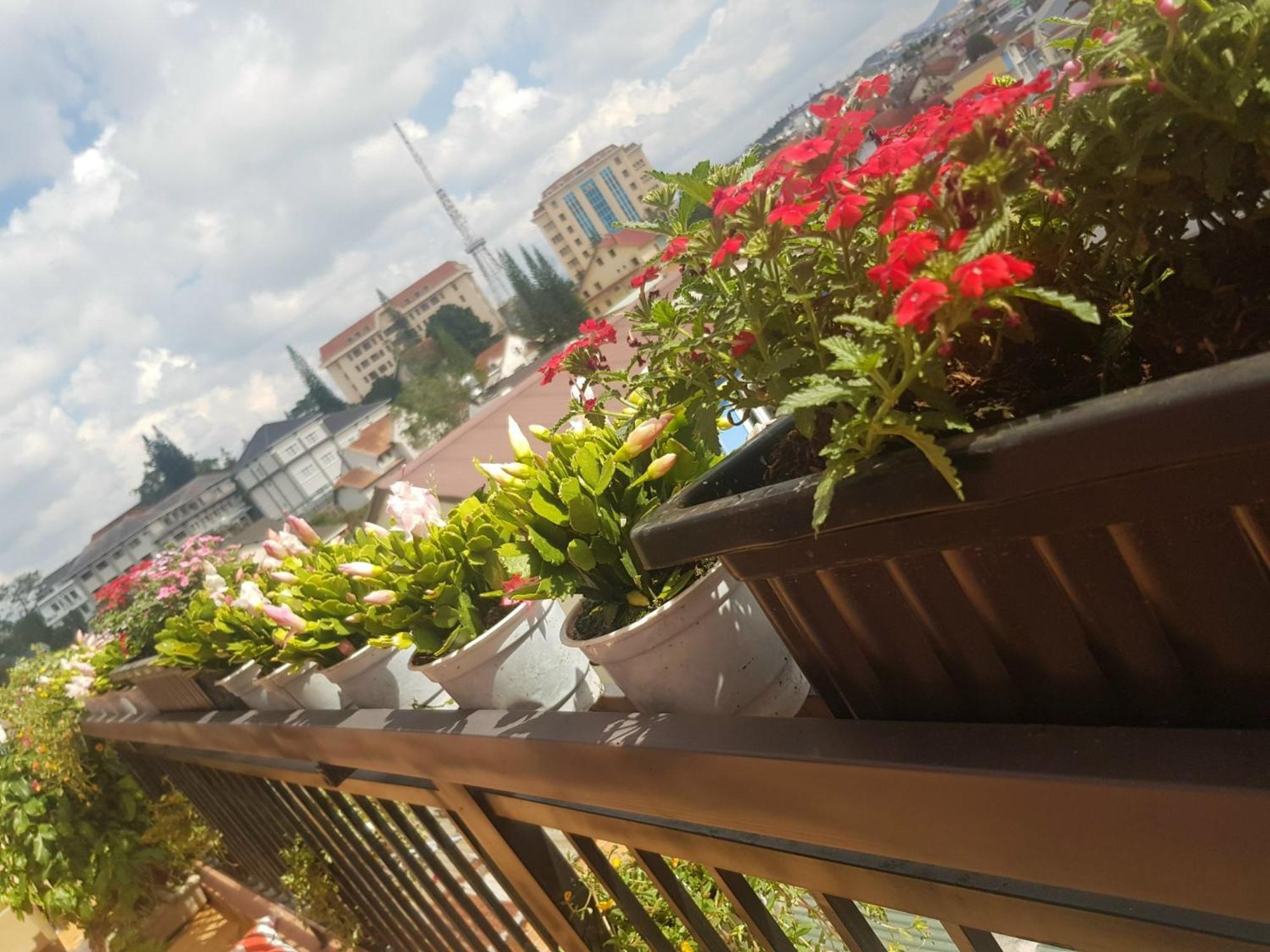 Ngoc Tran Hotel ダラット エクステリア 写真